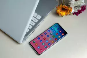 Sto Zvířat Dáma S Čápem